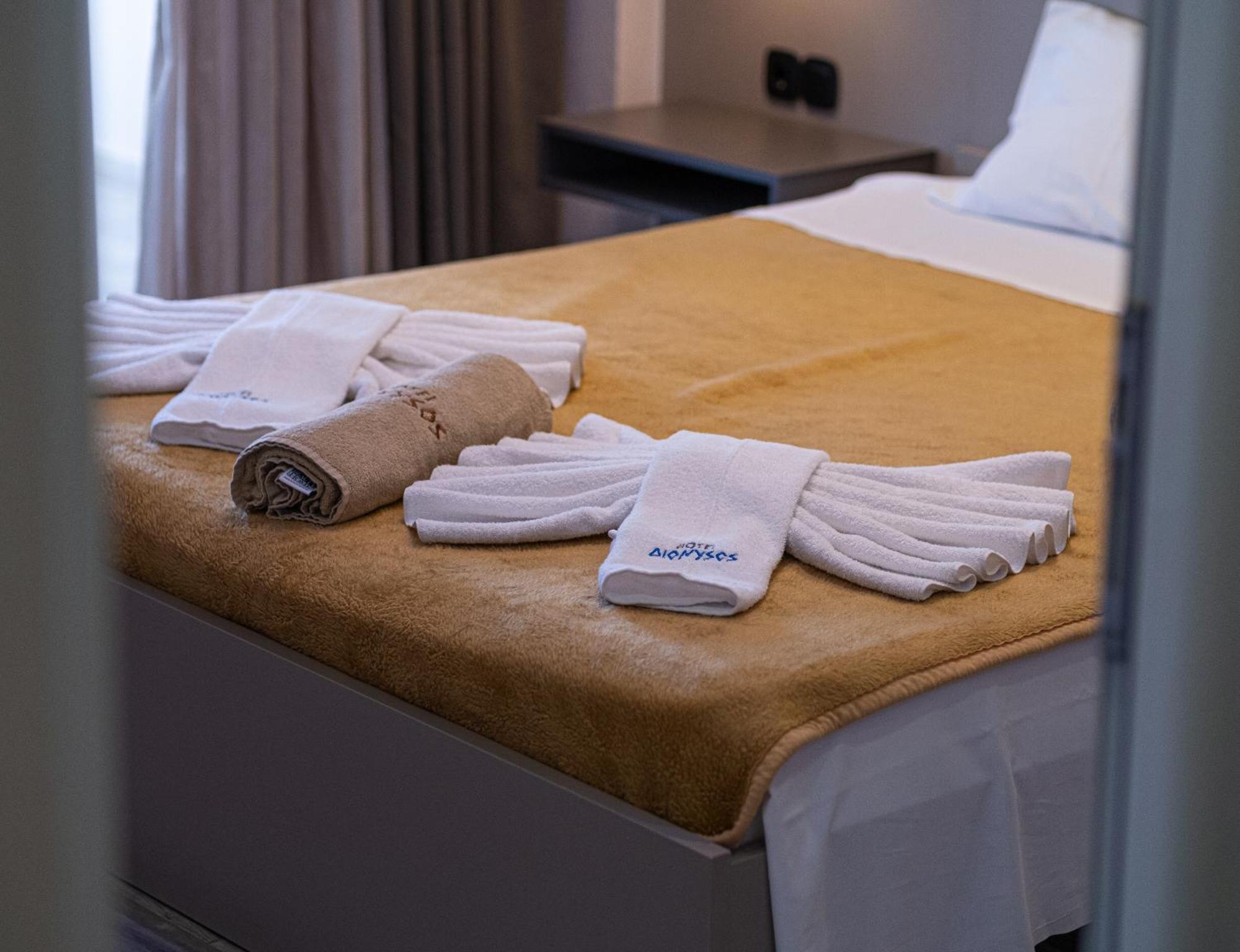 Hotel Dionysos Polichrono Polychrono Extérieur photo